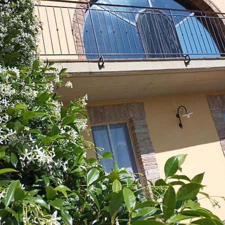 Sunset Hill - Tuscany - Villa & Private Pool Кастельфьорентино Экстерьер фото