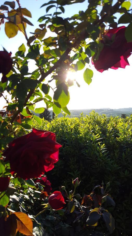 Sunset Hill - Tuscany - Villa & Private Pool Кастельфьорентино Экстерьер фото