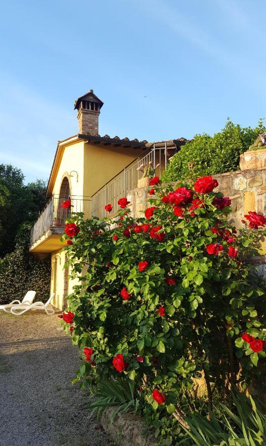 Sunset Hill - Tuscany - Villa & Private Pool Кастельфьорентино Экстерьер фото