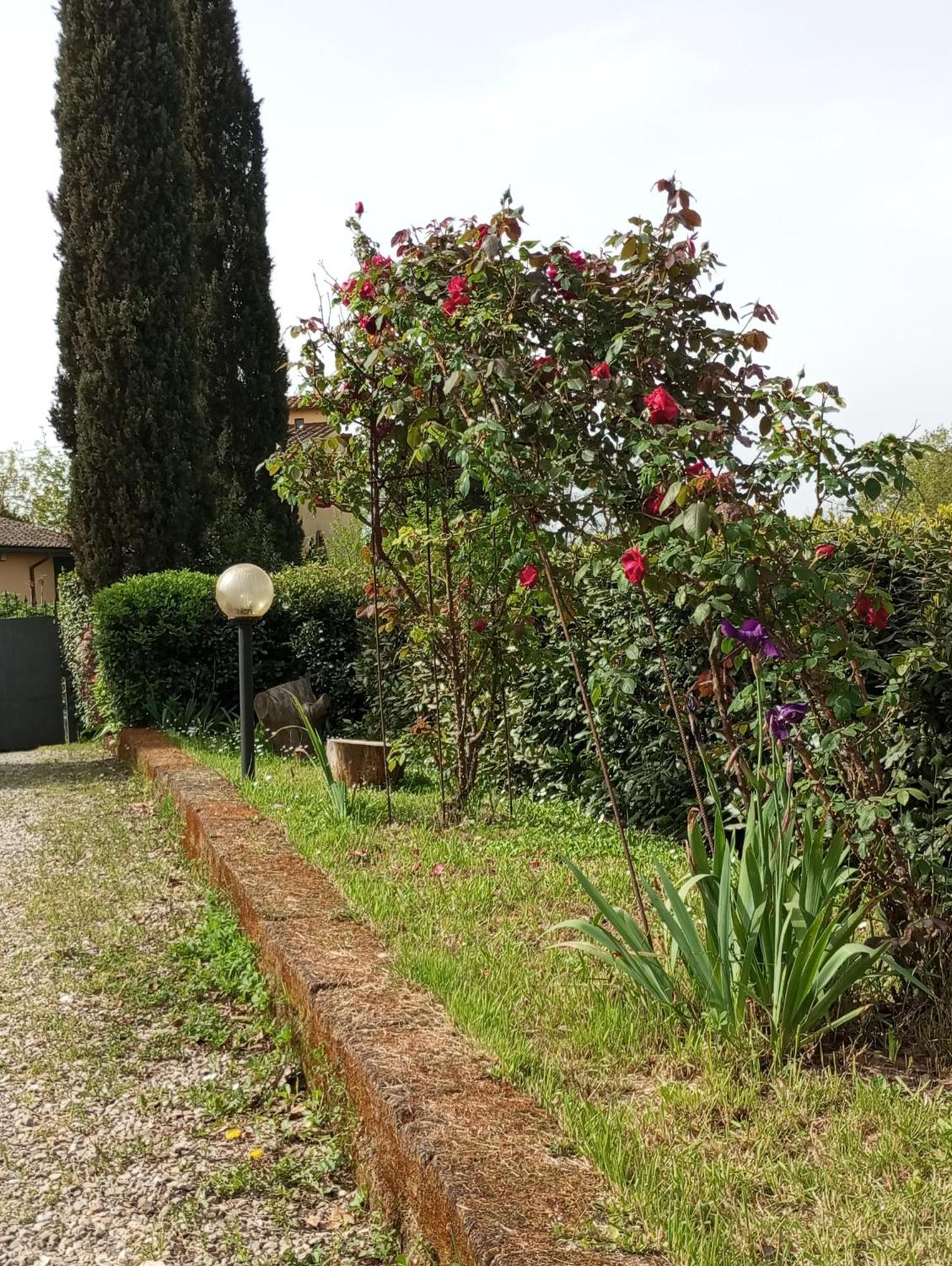Sunset Hill - Tuscany - Villa & Private Pool Кастельфьорентино Экстерьер фото